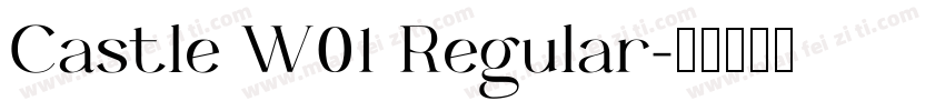 Castle W01 Regular字体转换